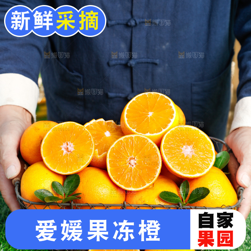农民手上端着一篮果冻橙