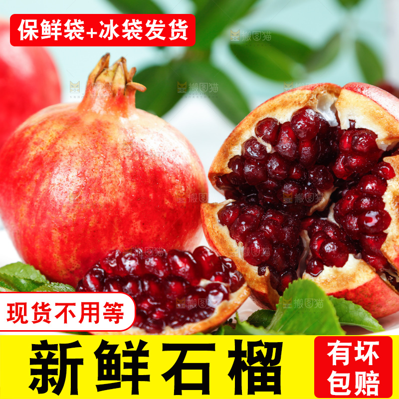 白底上一盘新鲜软籽石榴