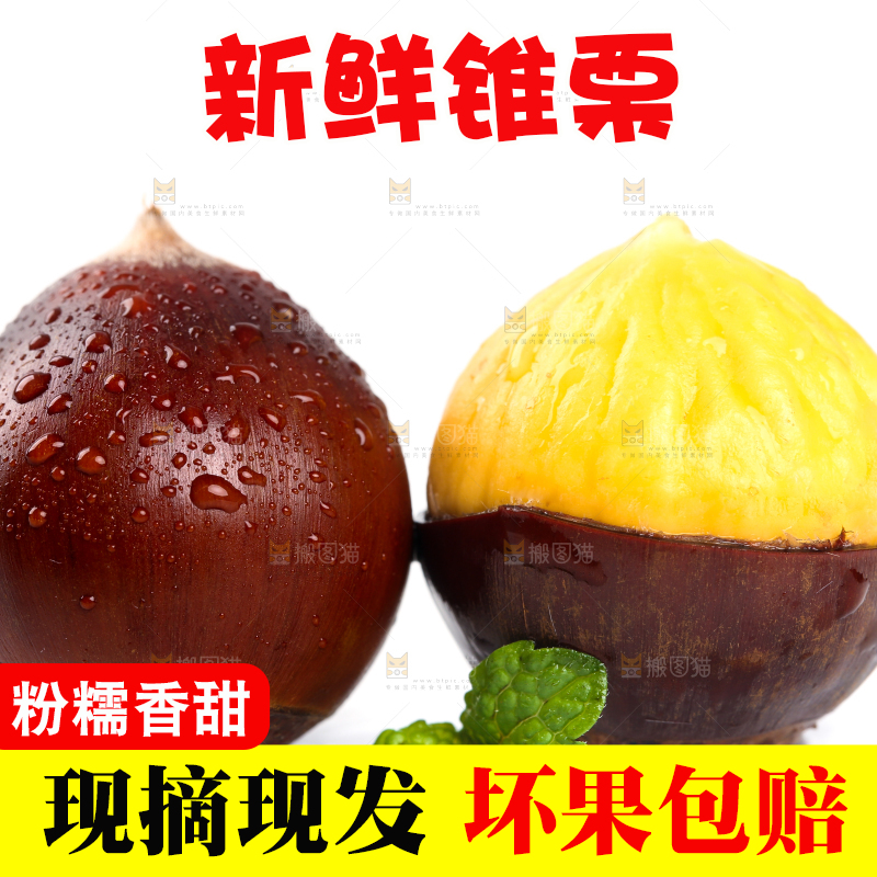 白底上放着高山锥栗