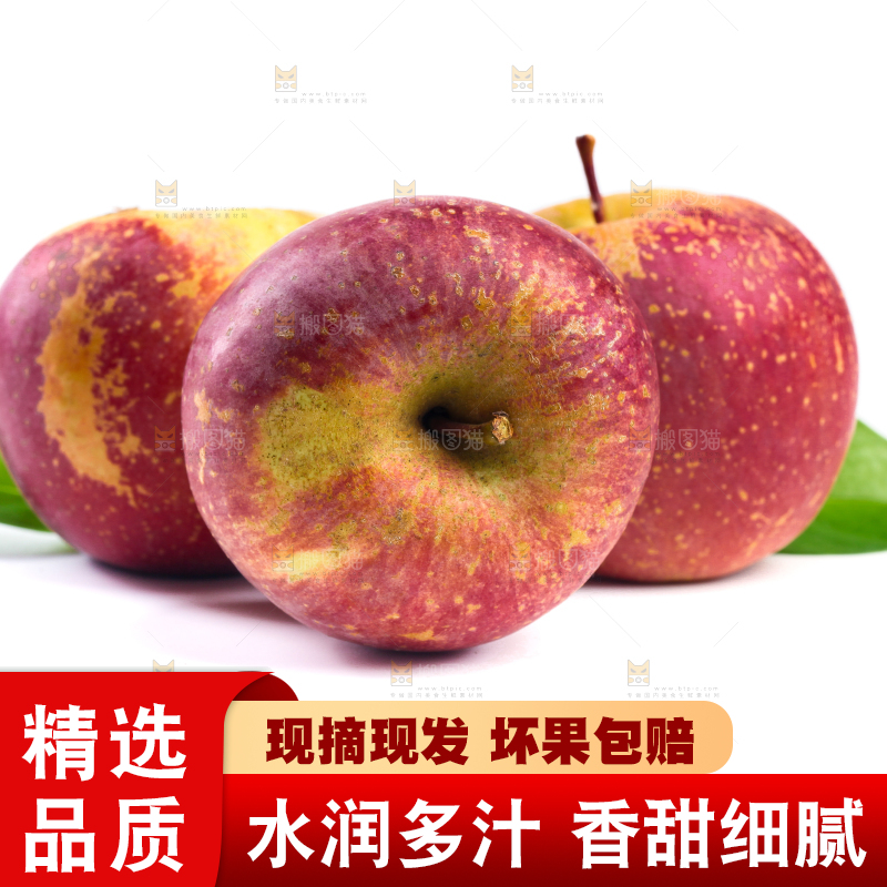 白底上的盐源丑苹果