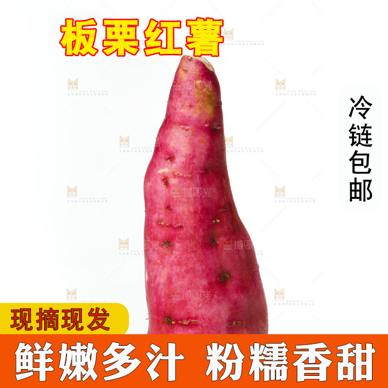 白底上的白心板栗薯