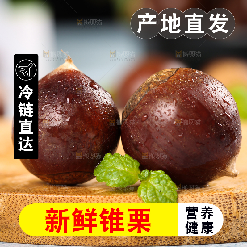 木板上放着高山锥栗