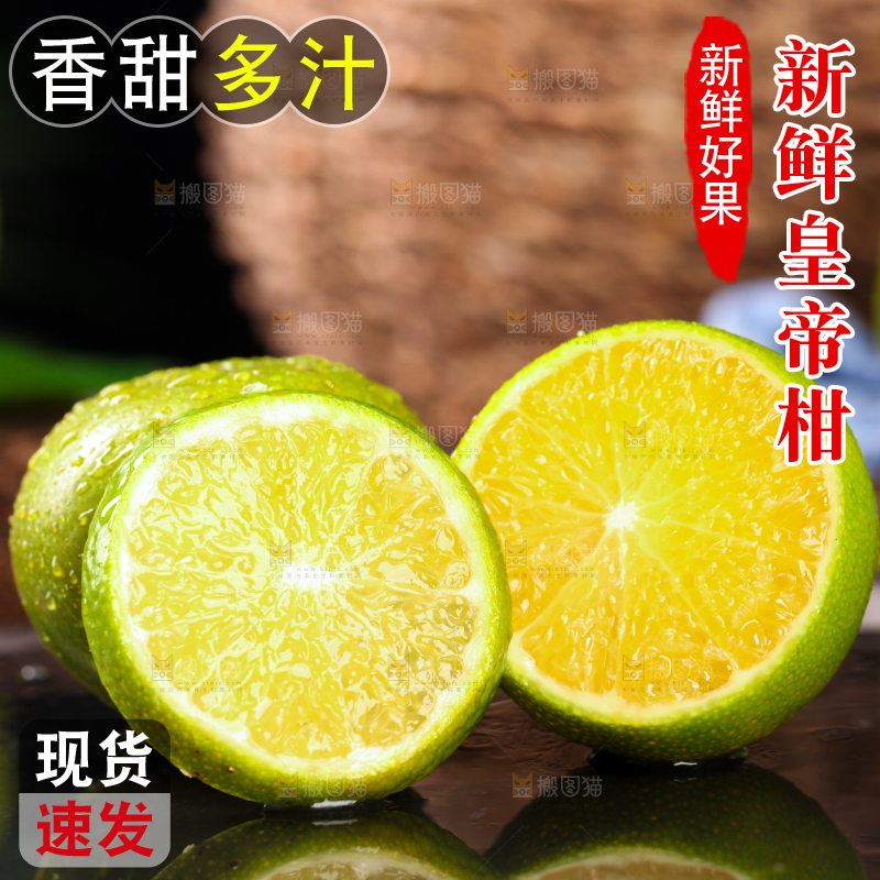 黑底上的皇帝柑