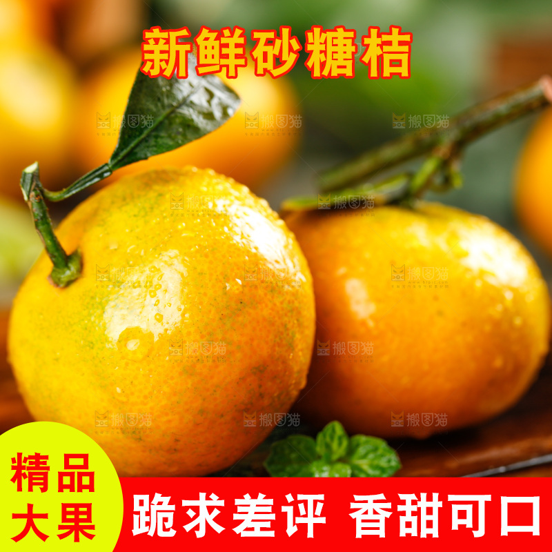 木底上的小蜜橘