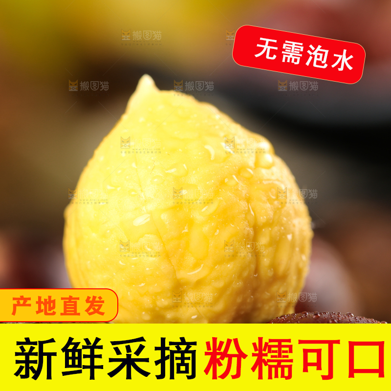 一堆栗子上放着锥栗仁