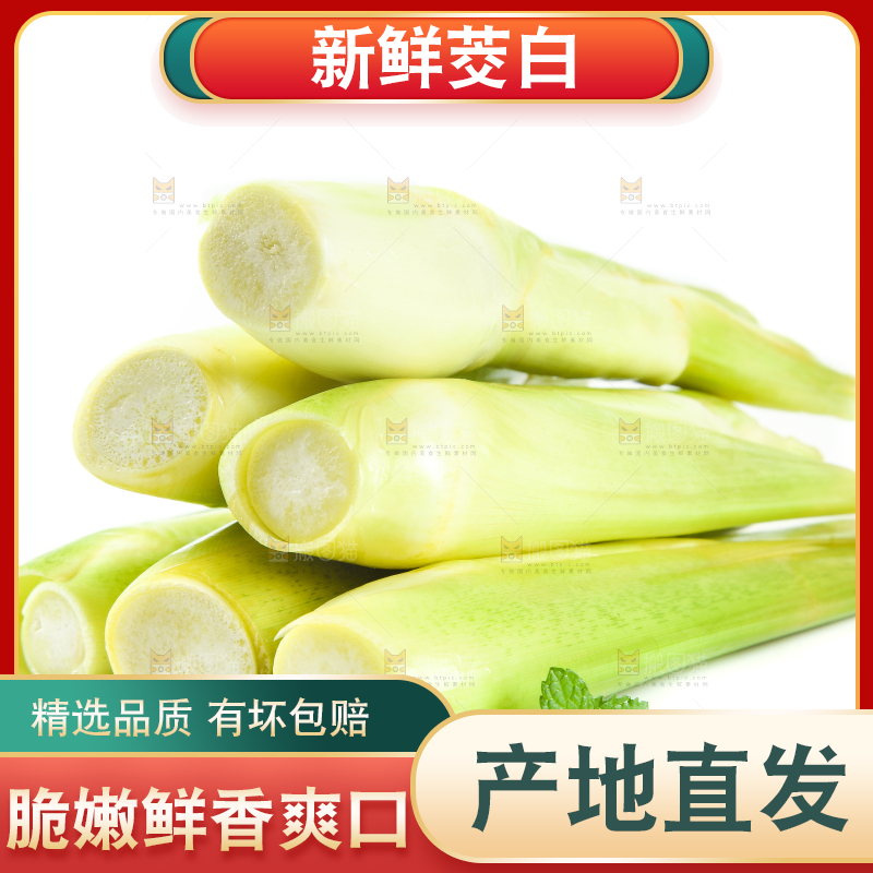 白底上一堆鲜嫩茭白