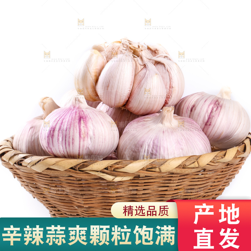 白底上放着一篮山东大蒜头