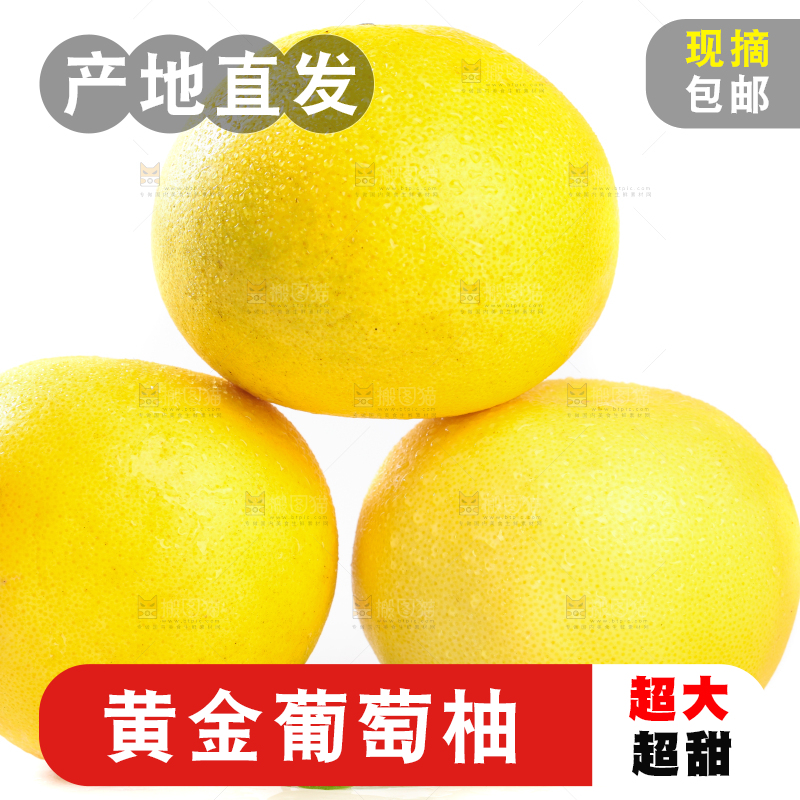 白底上放着葡萄柚