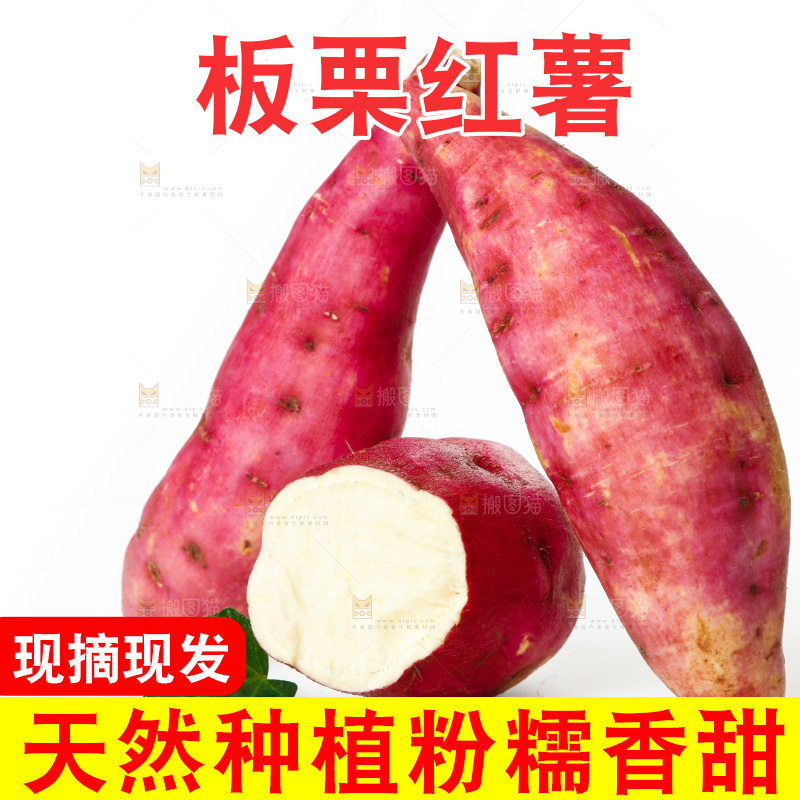 白底上的白心板栗薯