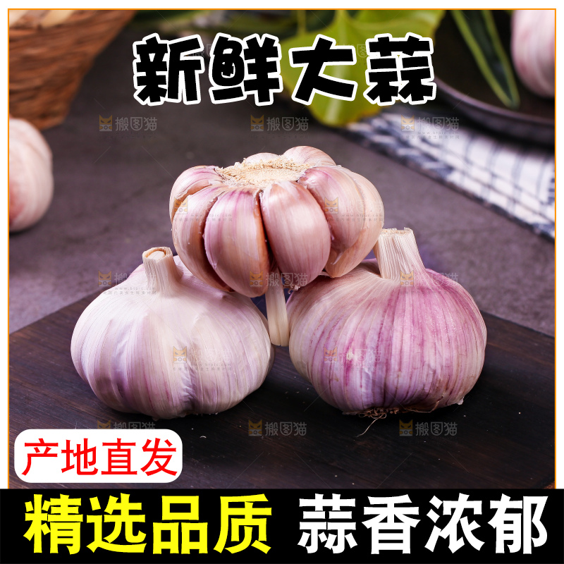 深底上的云南大蒜
