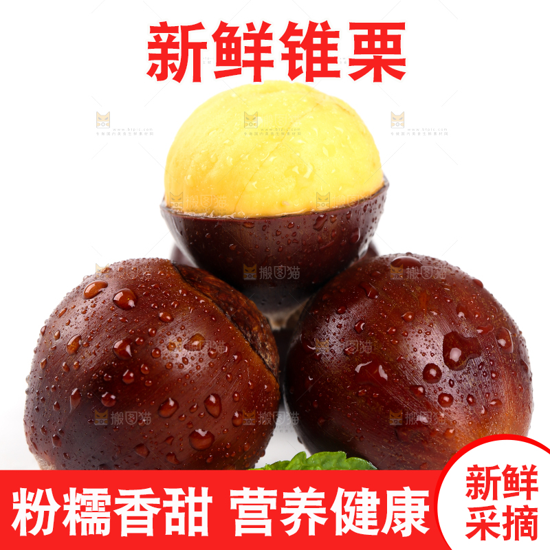白底上的建瓯锥栗