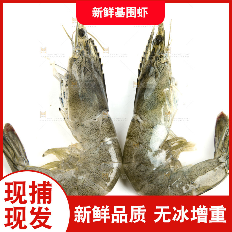 白底上放着对虾
