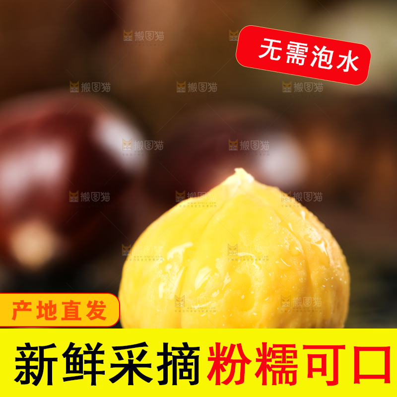黑底上放着锥栗仁