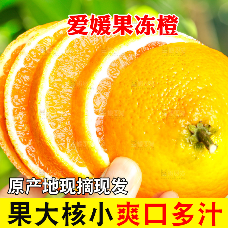 手上拿着切开的橙子