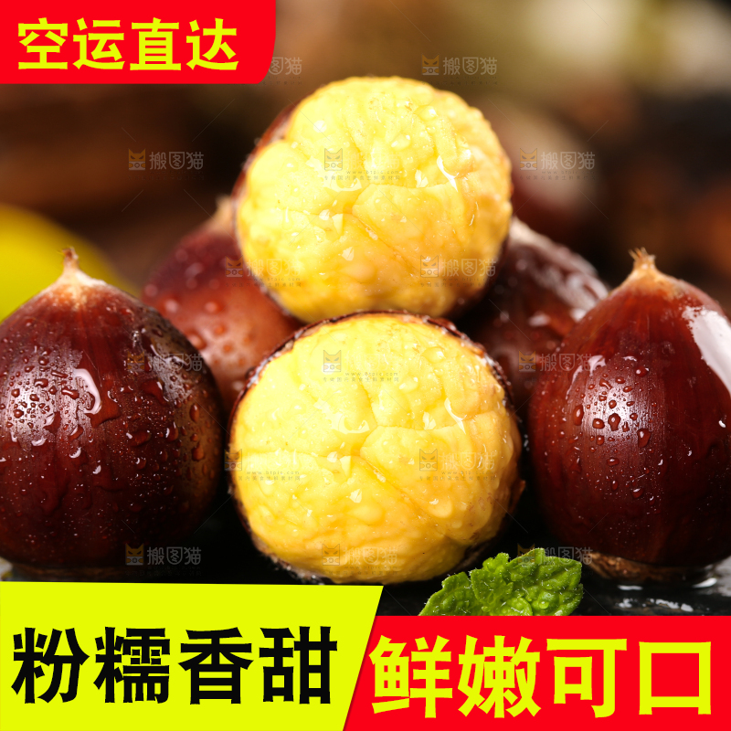 黑底上放着高山锥栗