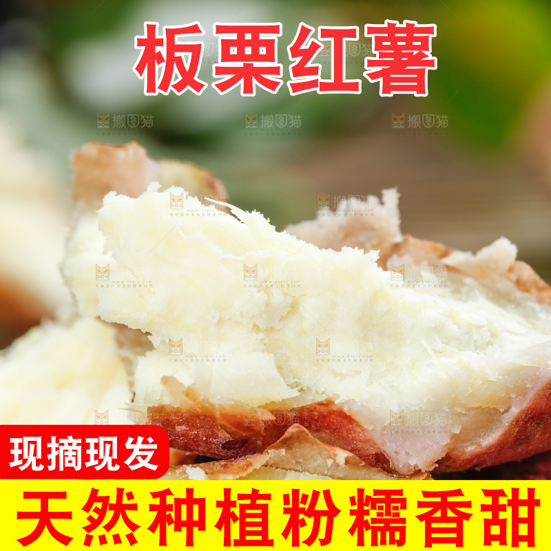 一堆白心板栗番薯