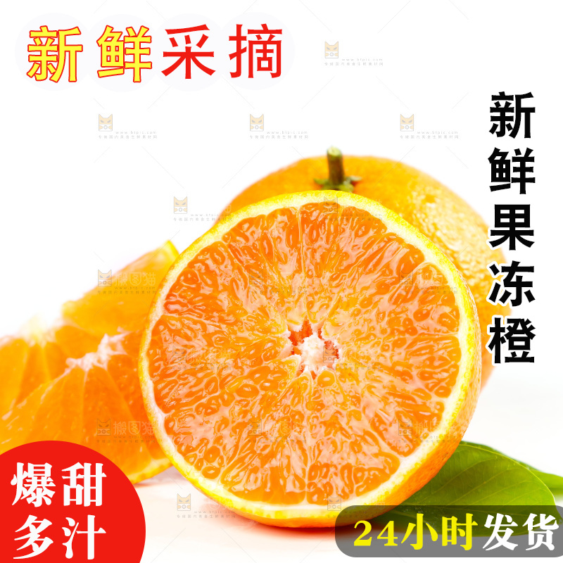 白底上的爱媛果冻橙和果冻橙果肉