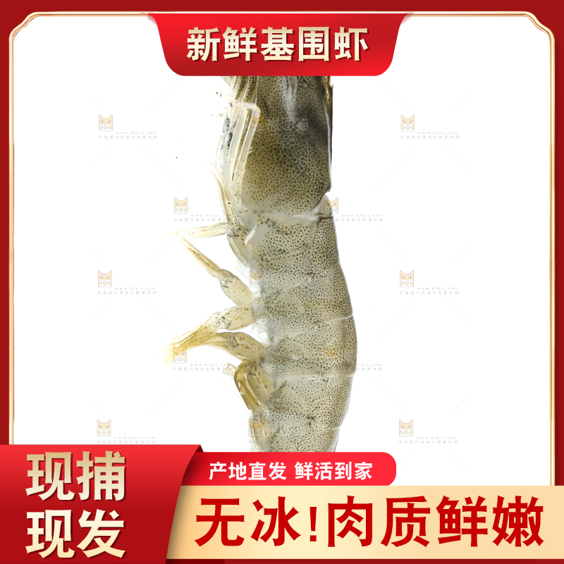 白底上放着新鲜基围虾