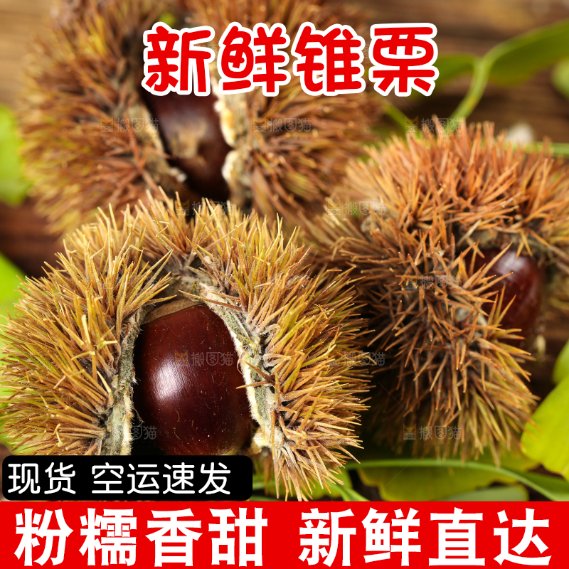 木底上放着毛栗子