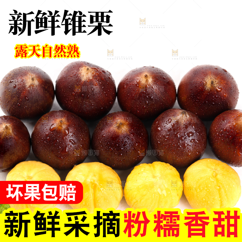 白底上放着锥栗和锥栗仁