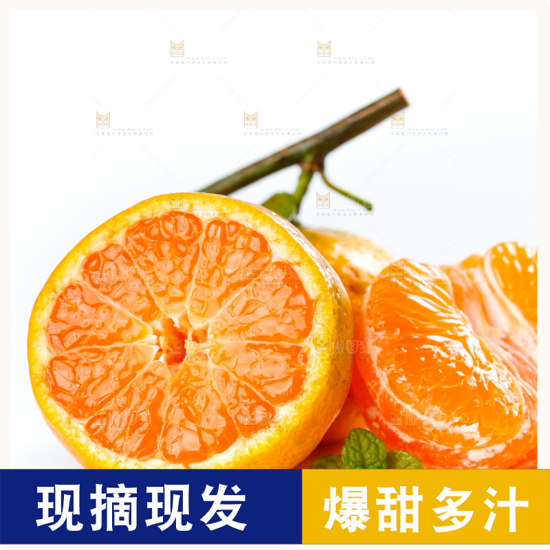 白底上的小蜜橘和蜜桔果肉
