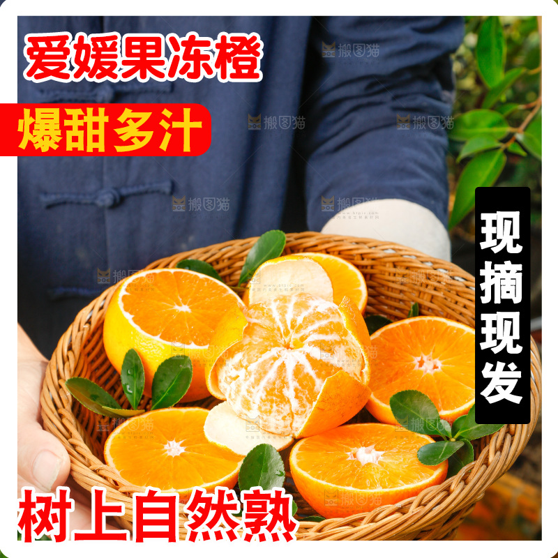 手上端着一篮爱媛果冻橙