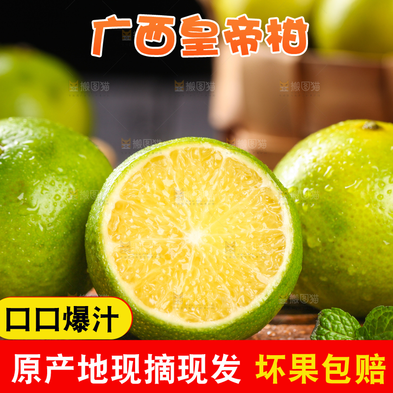 竹底上放着皇帝柑
