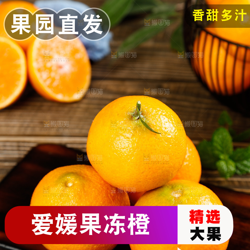 深底上一堆爱媛桔橙