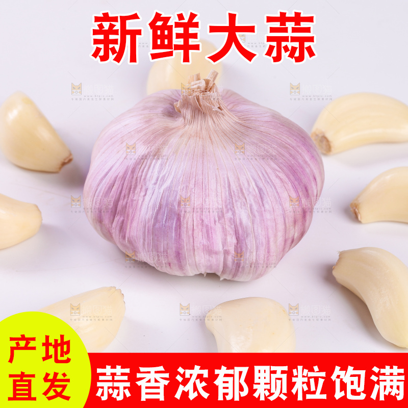 白底上的大蒜头和蒜瓣