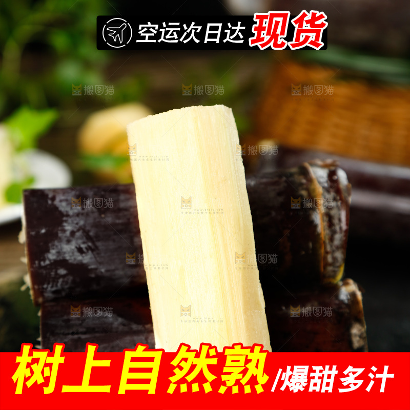 黑底上放着果蔗
