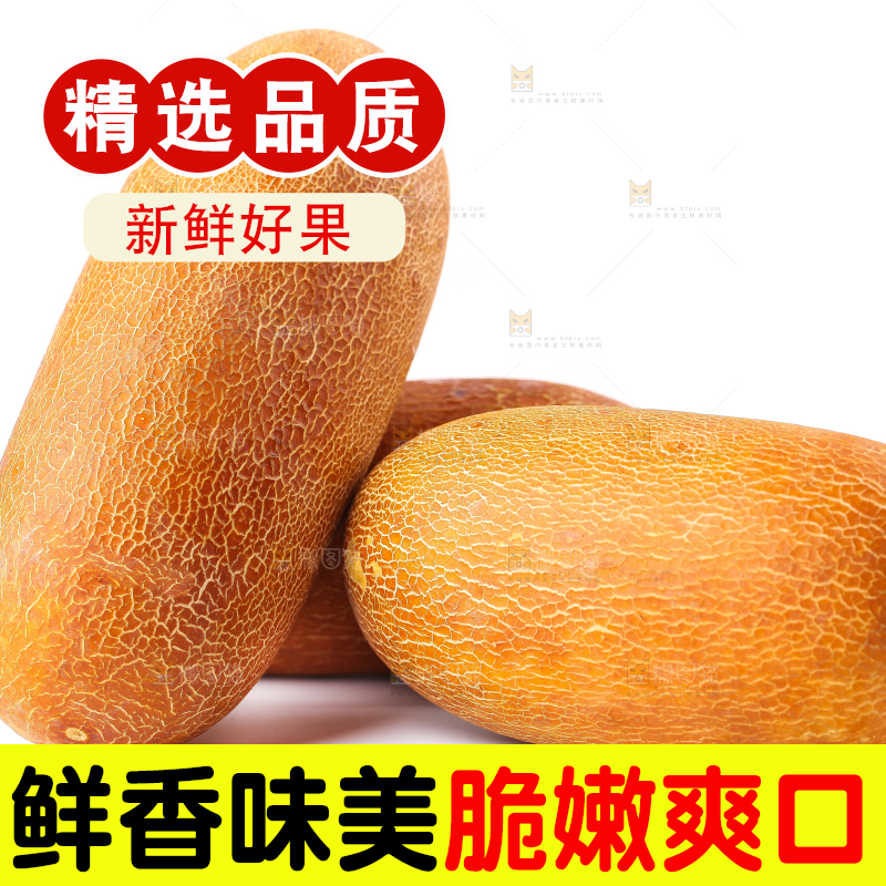 白底上摆放着老黄瓜