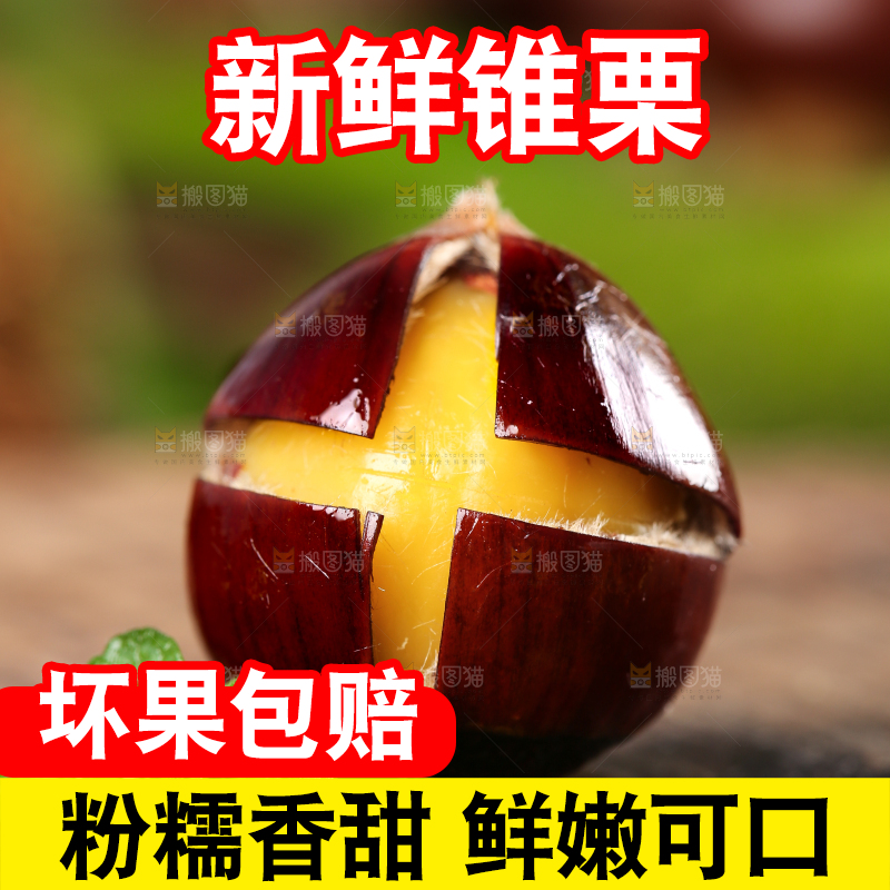 深底上放着油锥栗