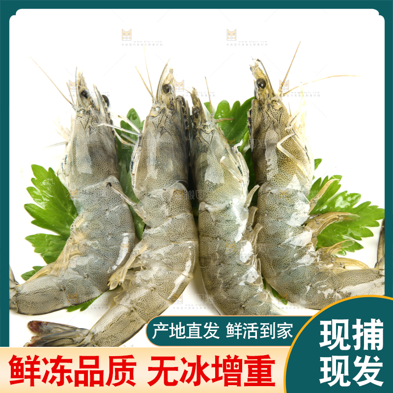 白底上放着对虾