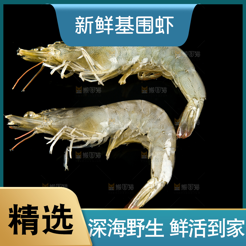 黑底上的青岛大虾