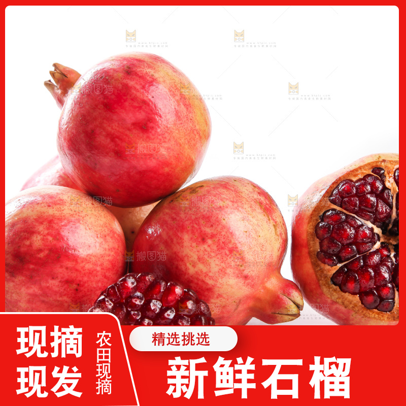 白底上的软籽石榴