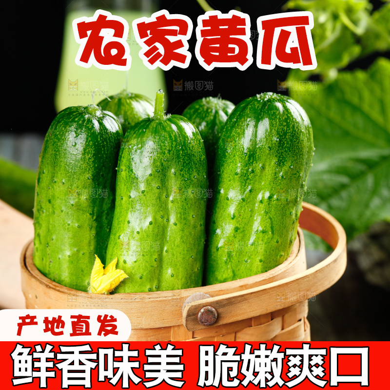 篮子里放着青瓜