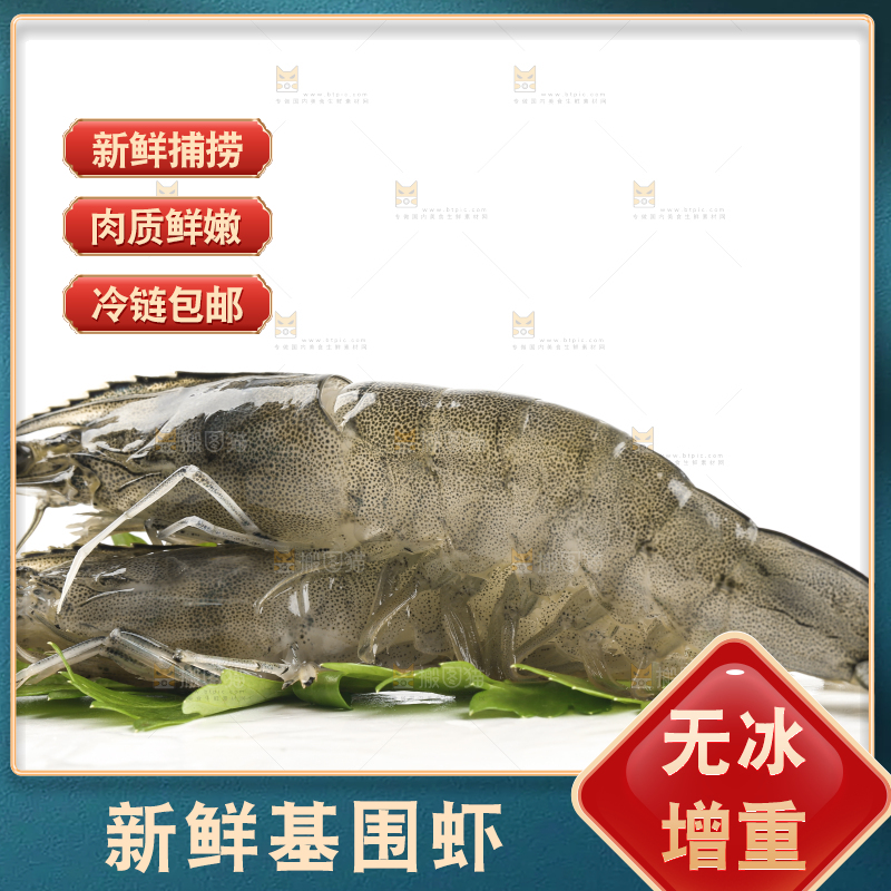 白底上的基围虾