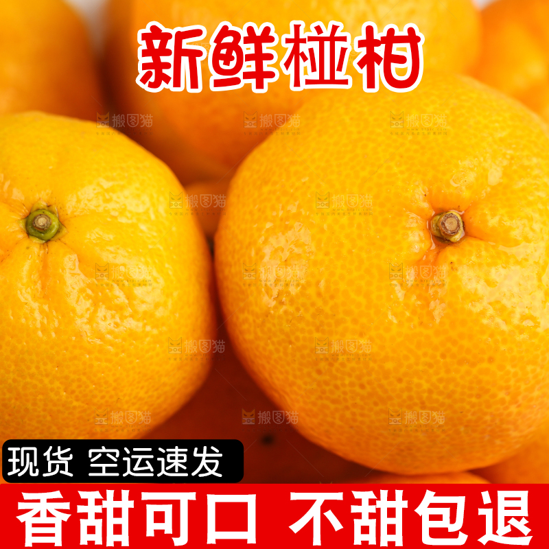 盘子里摆放着椪柑橘