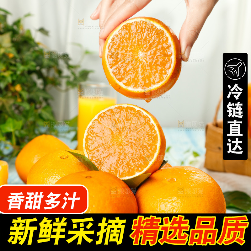 手上拿着爱媛38号柑橘