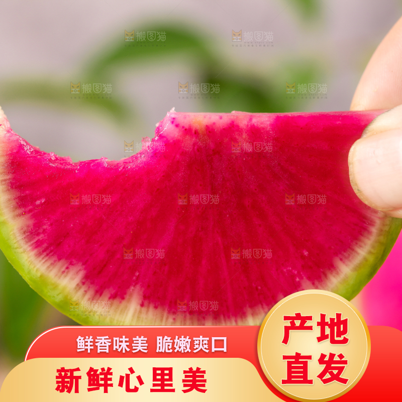 手里拿着红心萝卜
