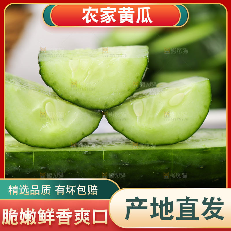 木底上堆放着新鲜黄瓜