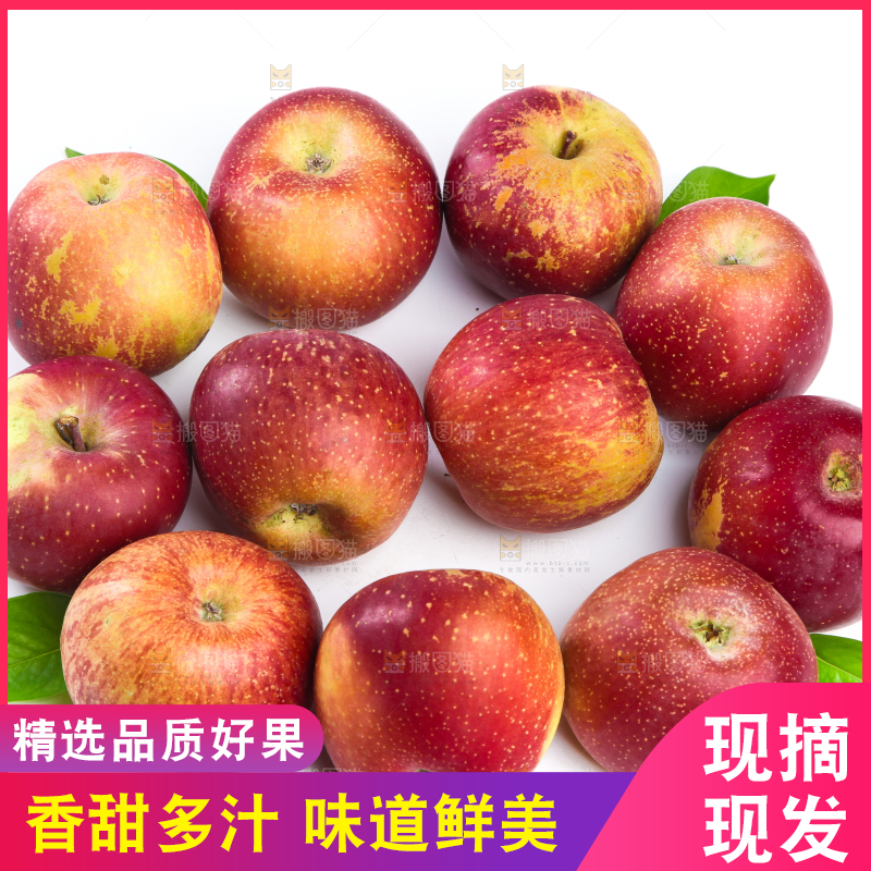 白底上一堆丑苹果