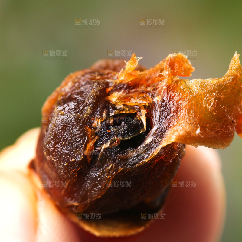 手上拿着干桂圆