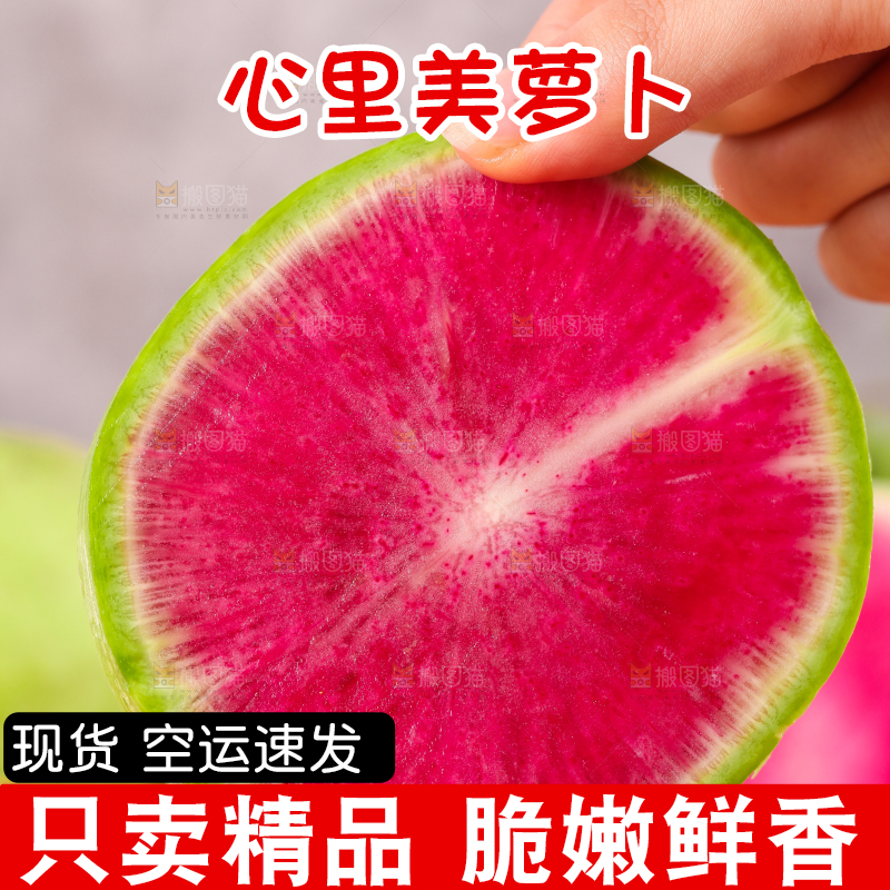 手里拿着红心萝卜