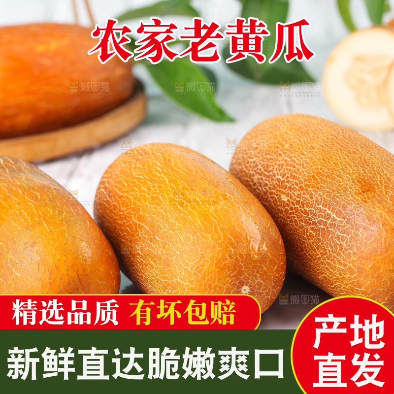 浅底上放着老黄瓜