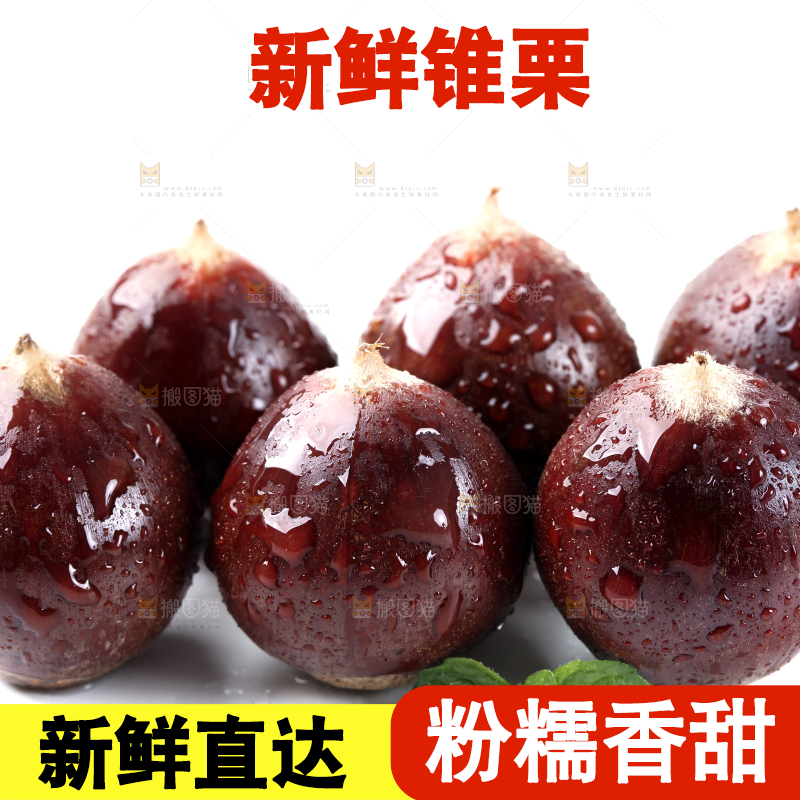 白底上一堆高山锥栗
