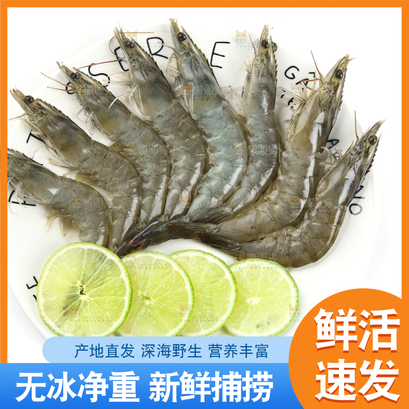 白底上一盘青岛大虾