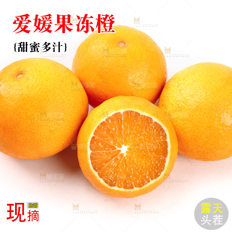 白底上一堆新鲜爱媛果冻橙