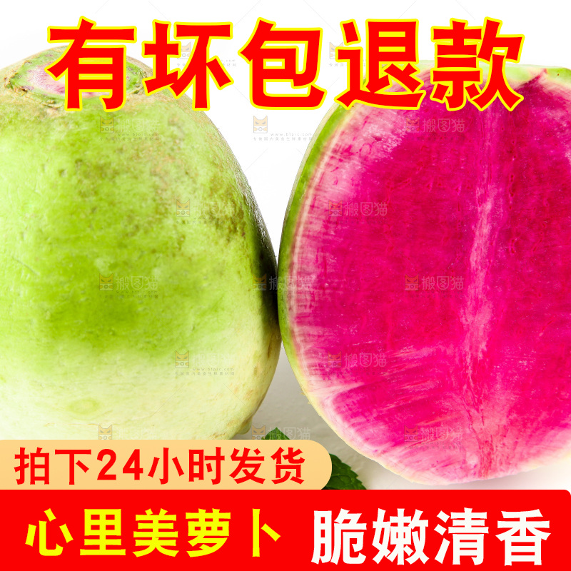 白底上摆放着青皮萝卜