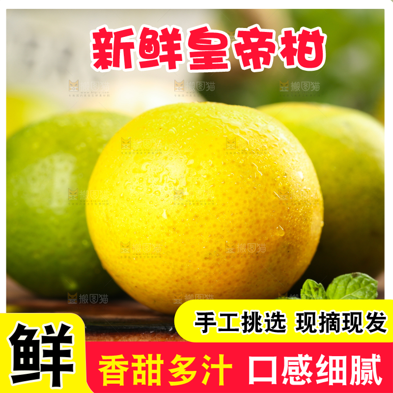 木板上的贡柑